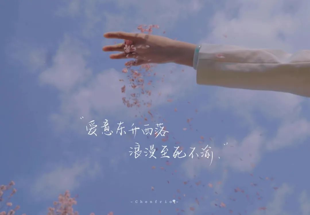 文案背景图|爱意东升西落浪漫至死不渝