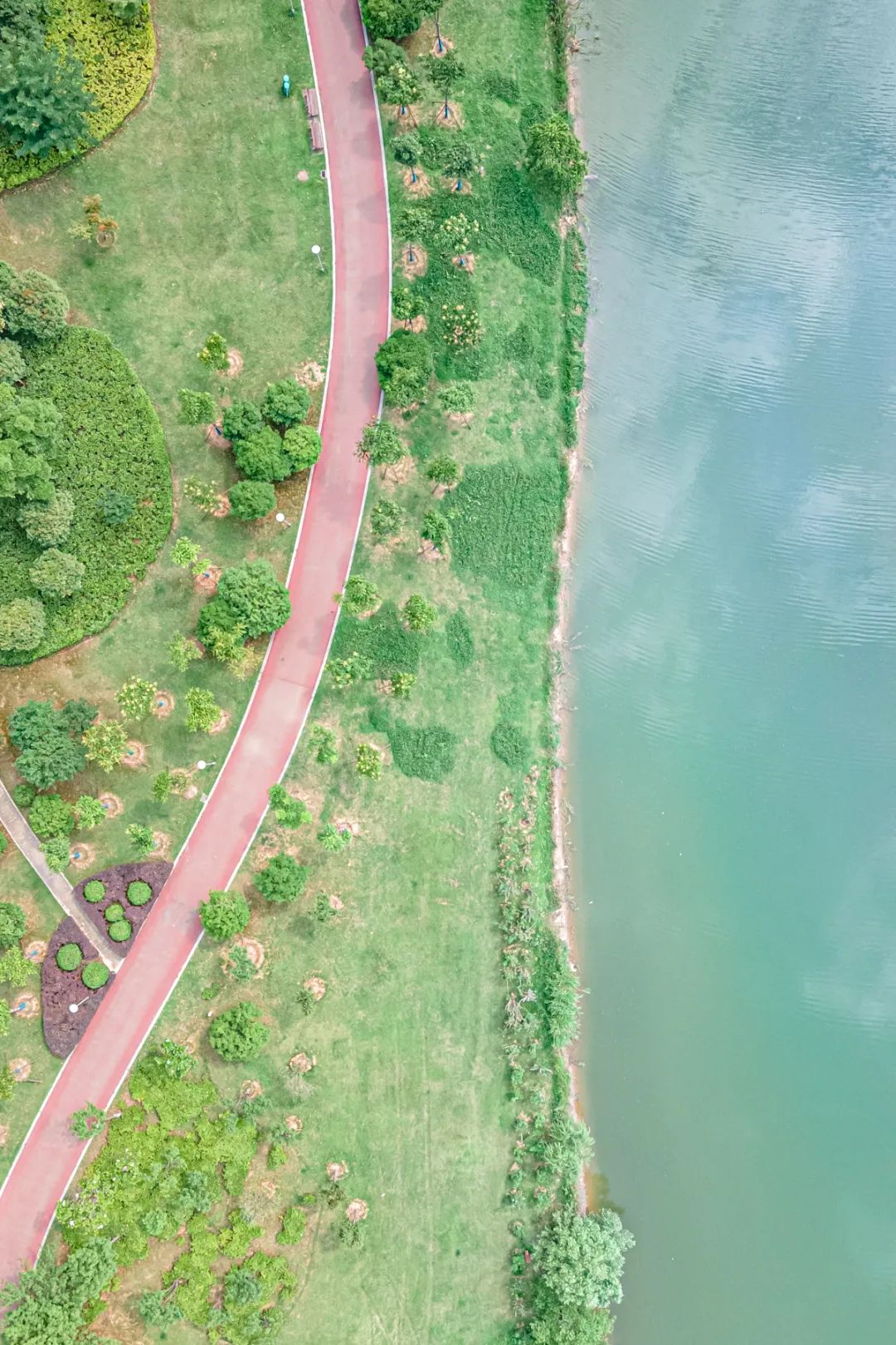 散步、慢跑、骑行……快来打卡车谷这些“高颜值”绿道