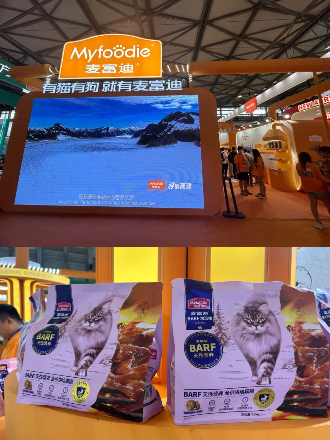 【现场】第25届亚洲宠物展火热开幕！