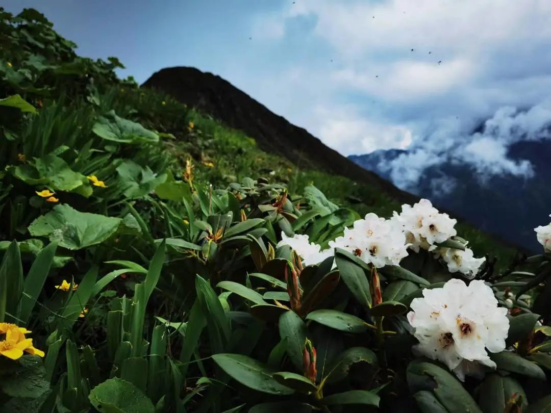 汶川是哪天呢,汶川大地震的威力到底有多强大呢