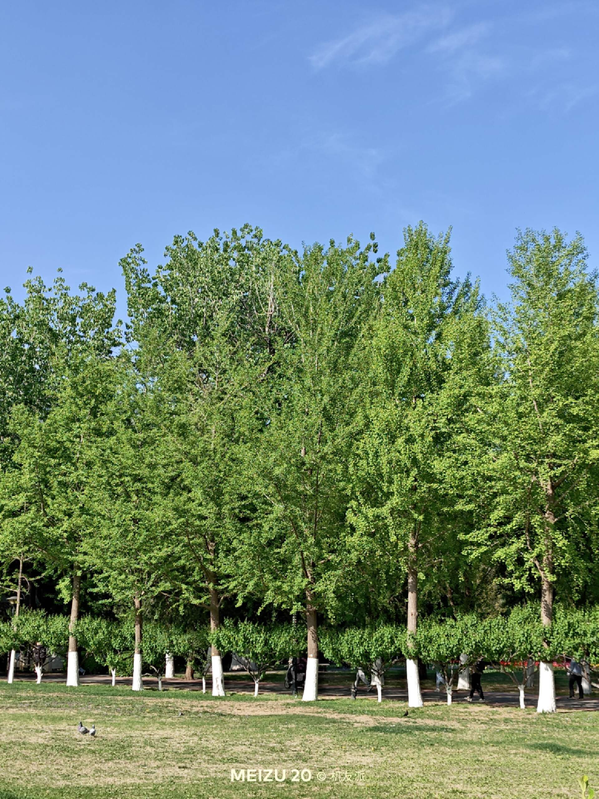 魅族20infinity无界版ppi,说说你们用魅族20手机的真实感受