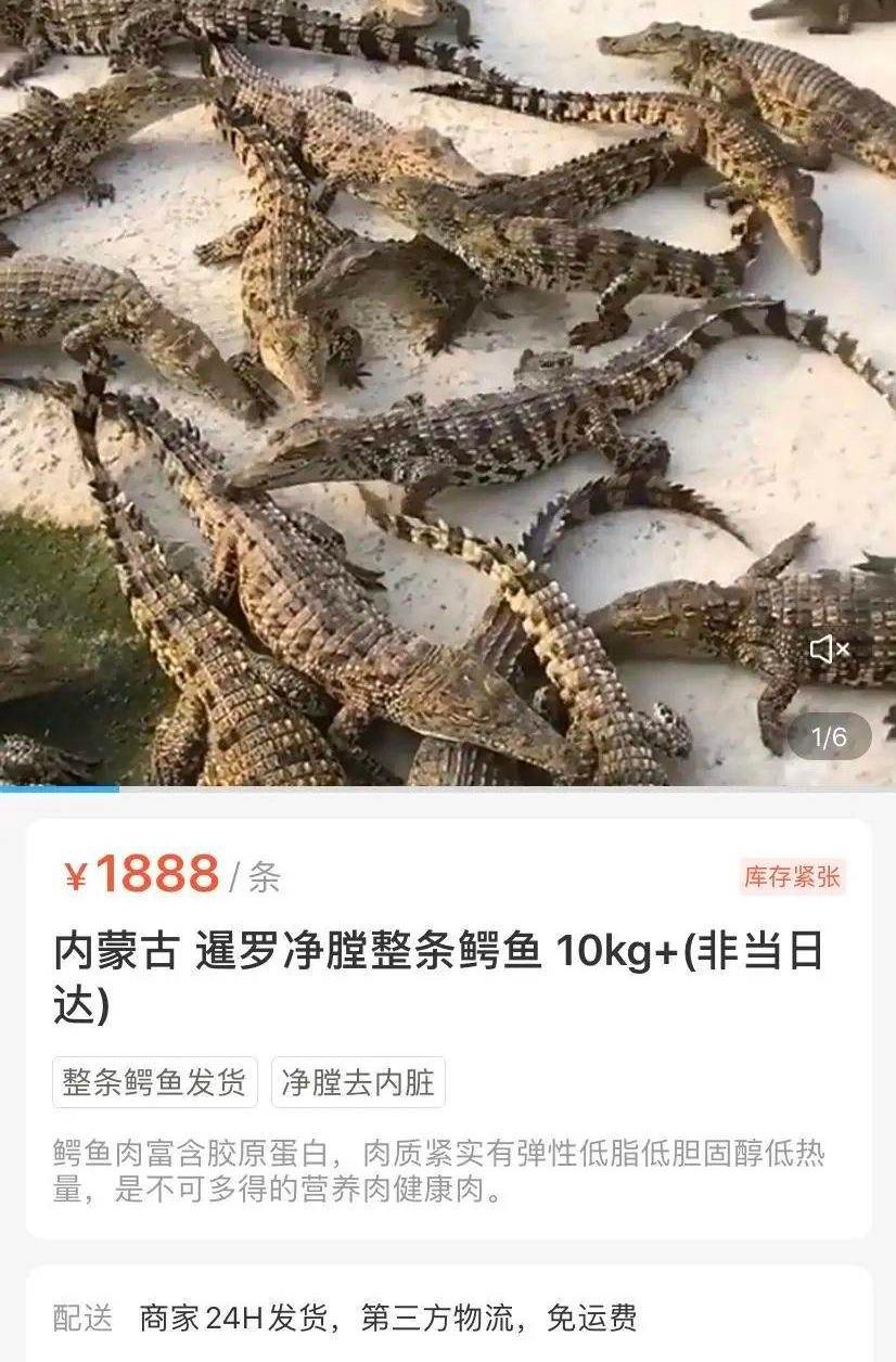 网购鳄鱼居然复活了？盒马作出回应
