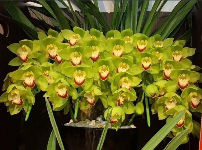 海山翻唱和平与爱,海山朗诵