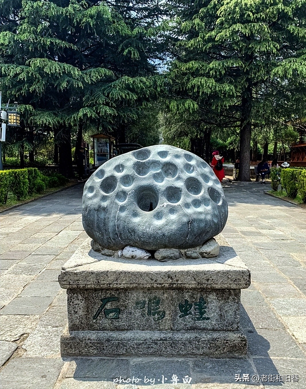 玩转云南自由行,昆明大理丽江6天5晚游多少钱