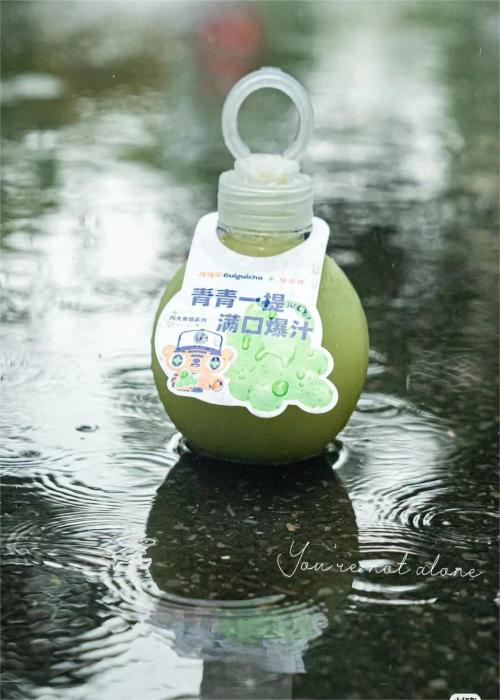 桂桂茶告诉你奶茶加盟模式有哪些,桂桂茶告诉你如何开一家奶茶店