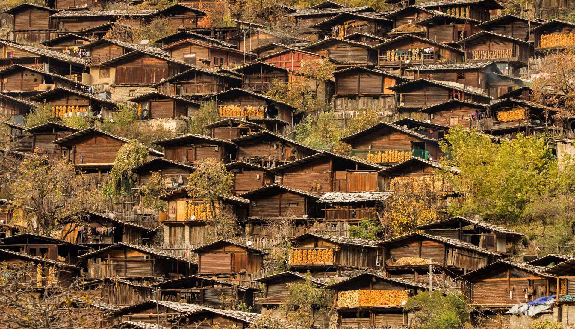 傈僳族刀山火海表演,傈僳族刀山火海是真的么