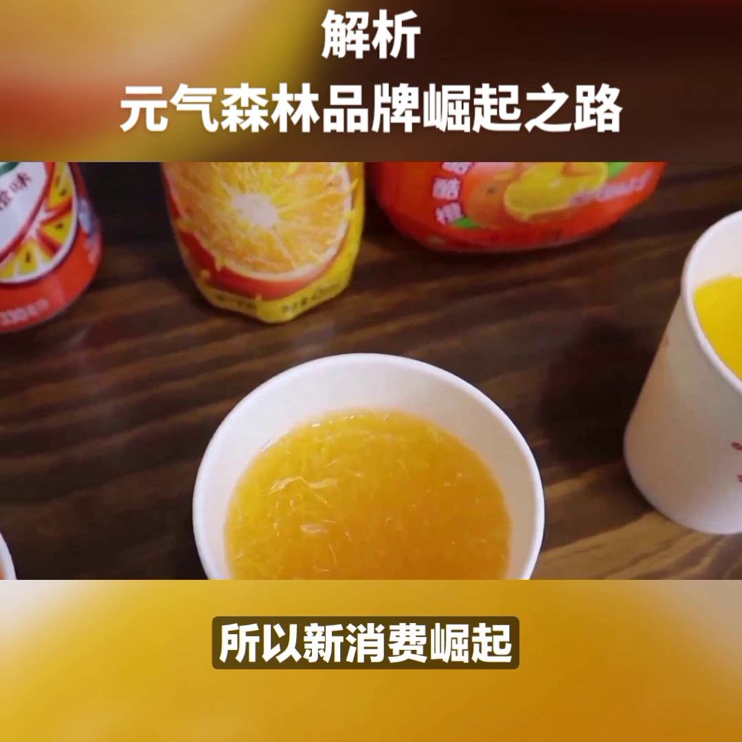 元气森林外星人营销策划案,元气森林电解质水营销策划书