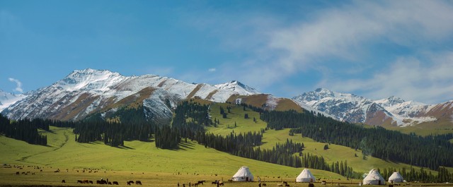 暑假二十天带孩子旅游计划,学生暑假旅游怎么安排的