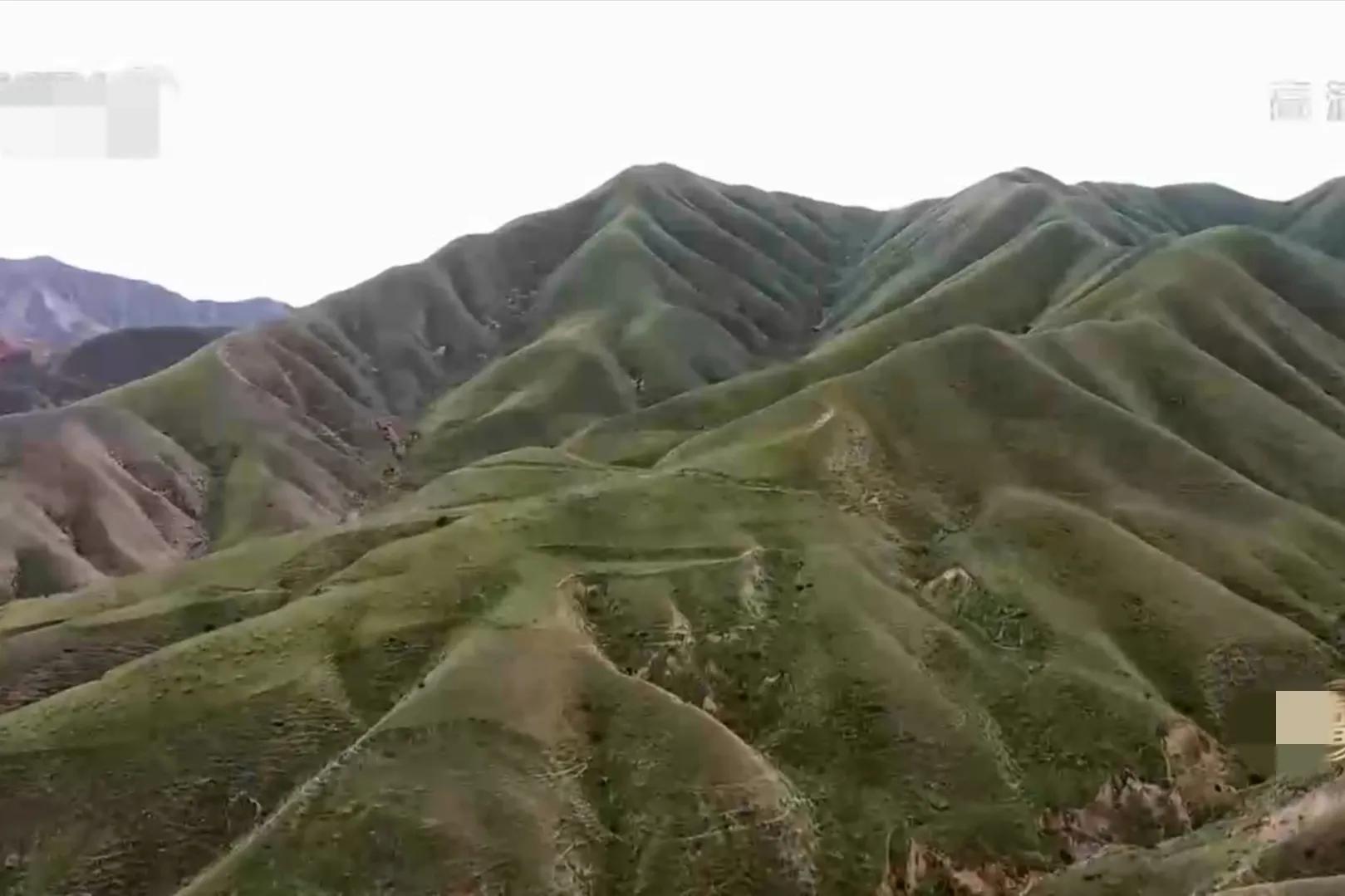 小伙承包80亩土地变成基本农田,农村小伙承包300亩地