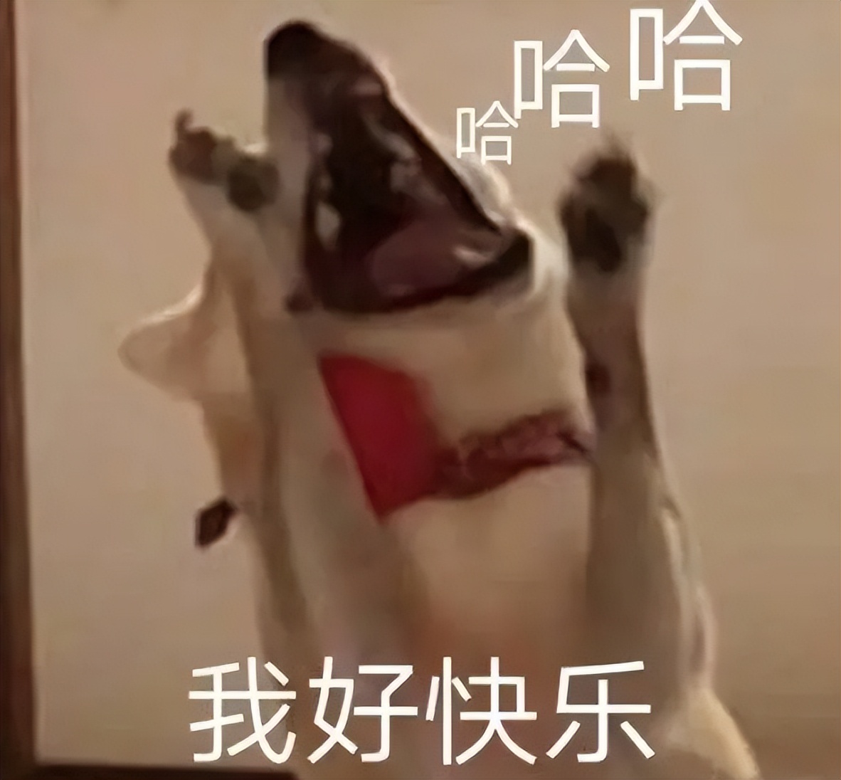 马天宇和宋轶在一起了吗,马天宇和宋轶是什么关系