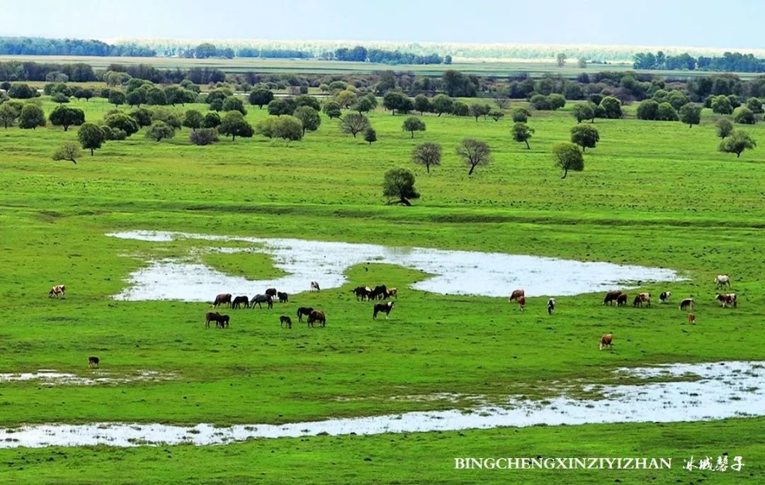 中俄边境线上的小城：逊克，披着“红珠绿边银装”的生态边城