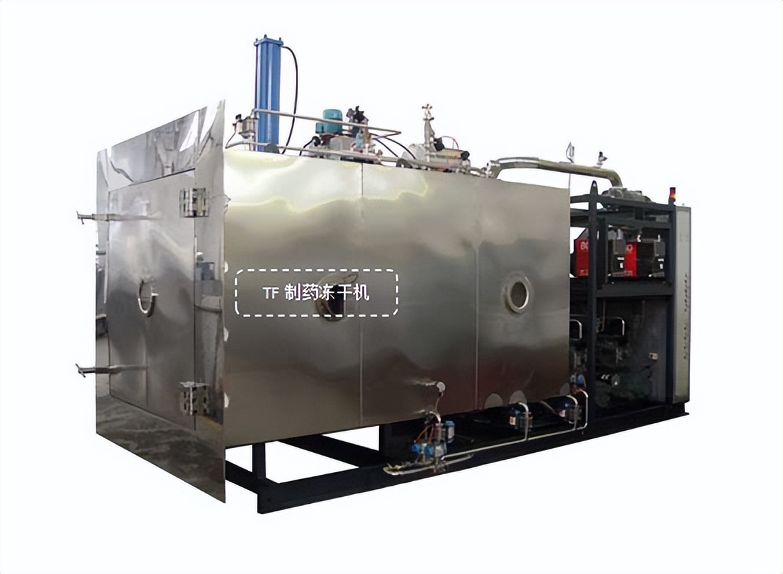 真空冷冻干燥机冻干机,冻干机水果冷冻干燥机