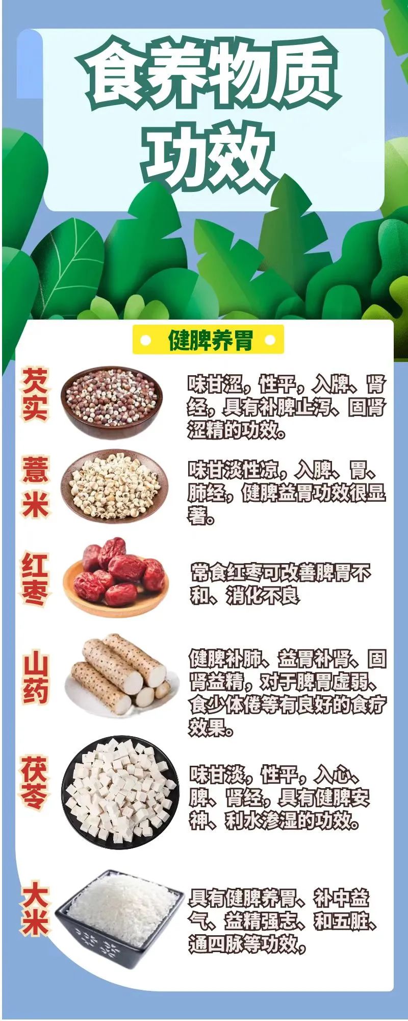 万物可卷,万物可卷营养搭配