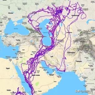 真实日军暴行老照片,日军侵华罕见老照片