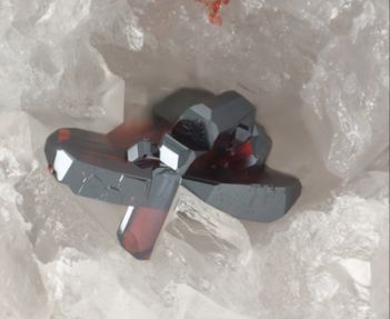 朱令去世，何谓铊中毒