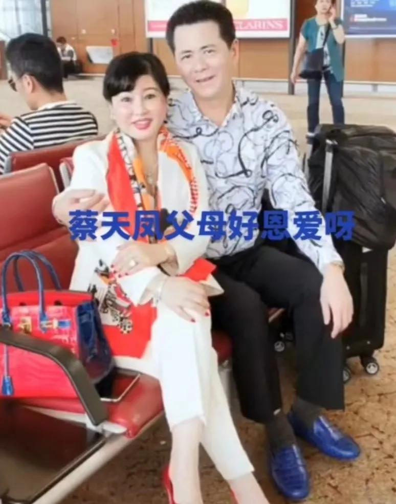 蔡天凤案件谈婚姻,蔡天凤丈夫和母亲