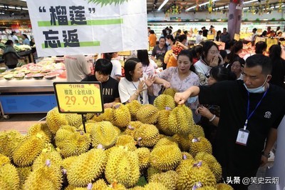 菲律宾群岛椰子树,15世纪菲律宾有多强