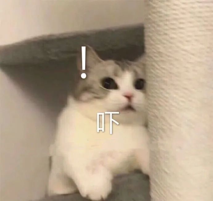 京东白条漏洞你怎么看,京东白条新人有陷阱吗