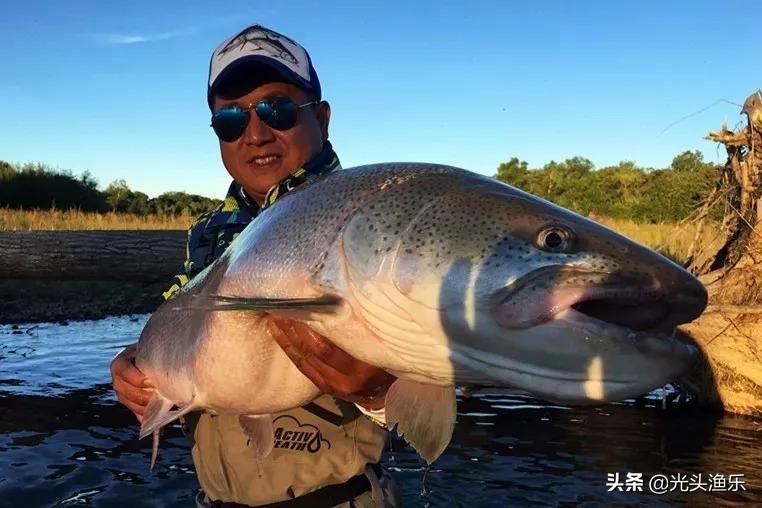 十大淡水超大型鱼类,十大大型淡水鱼类