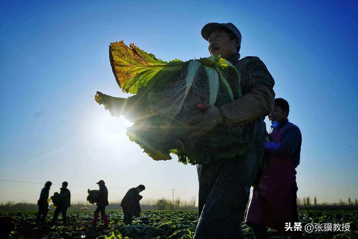 吃不起泡菜了？韩国最新报告揭下发达国家遮羞布：泡菜也要靠中国
