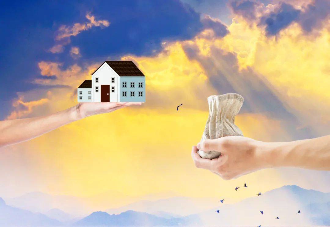 富力地产张力,张力案件