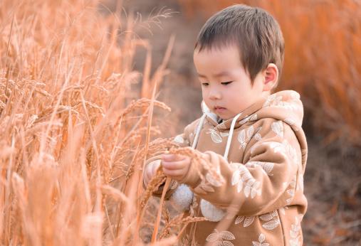 怎么吃梨才能不伤脾胃,经常吃梨有什么好处和坏处