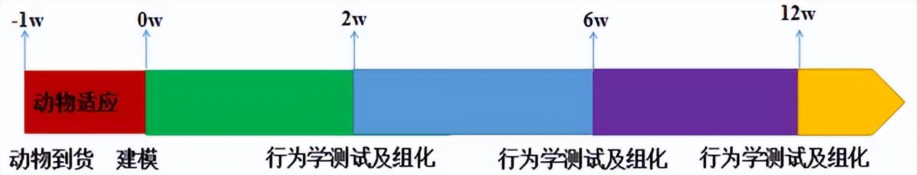 神经病理性疼痛动物模型,神经退行性小鼠模型