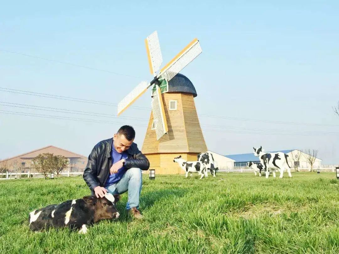 靠养牛致富的人有多少,靠养牛成为千万富翁