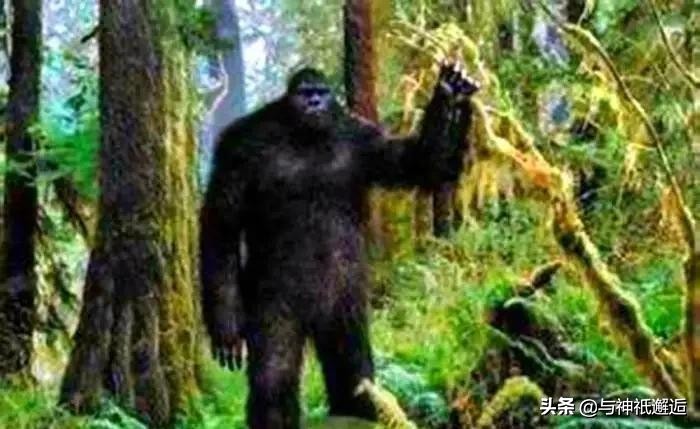 古代传说中的神仙有哪些,古代的神仙都去哪里