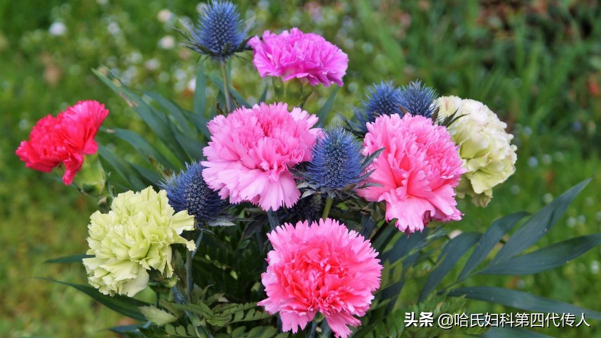 月经量少月经错后怎么治,月经量少经期后怎么调理