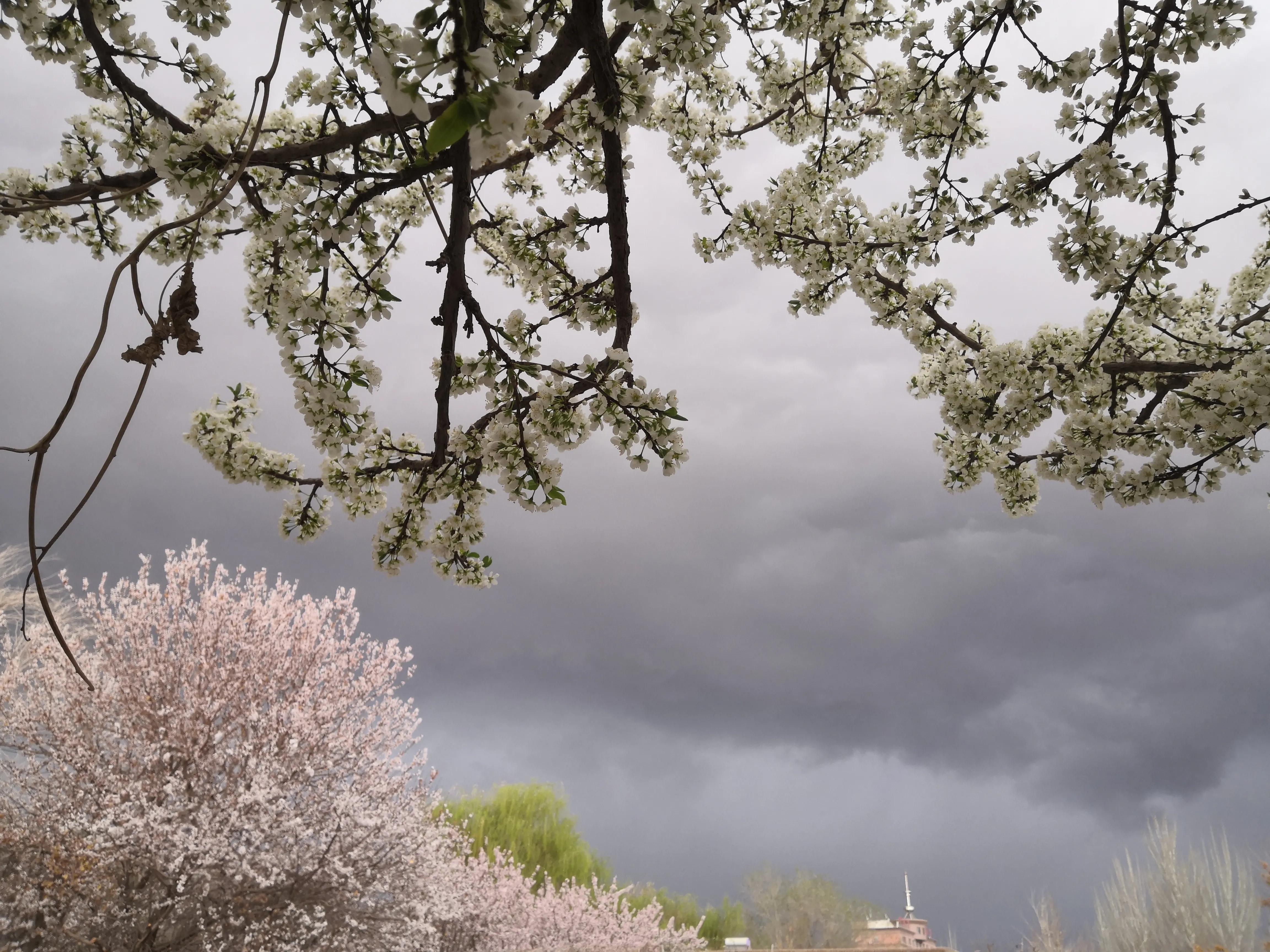 振华股份深度分析,越走越好完整版