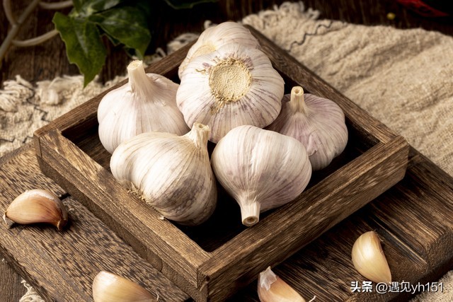 东北人为什么如此迷恋生吃大蒜头——探秘东北风味的魅力！