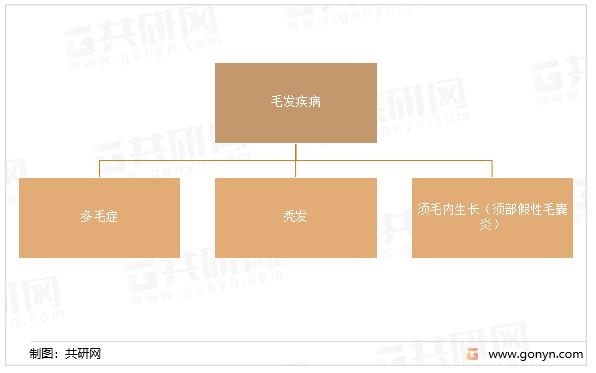 毛发医疗行业现状,2024-2030毛发市场前景