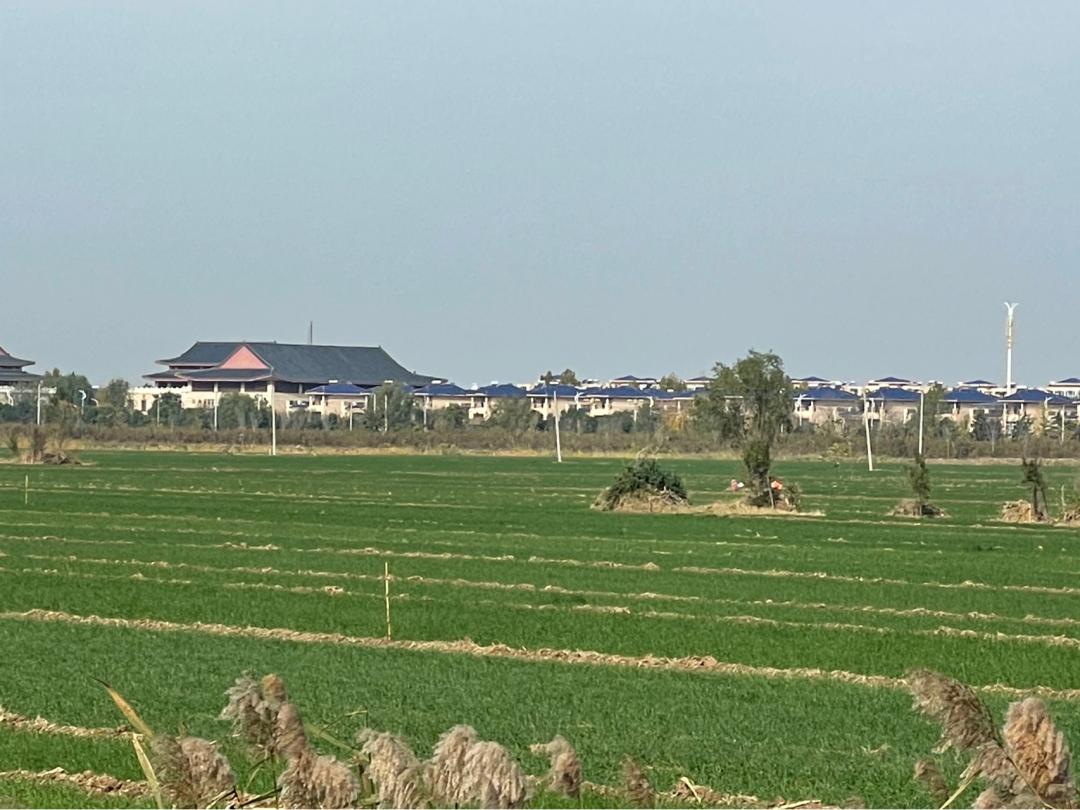 董董骑行山东,懂懂骑山东