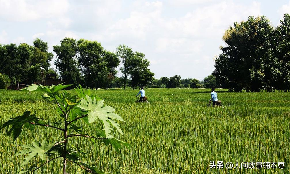 我要上学完整版免费,我要上学