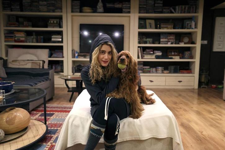 伊朗拟禁止民众养宠物,美国对于不规范养宠物的处罚