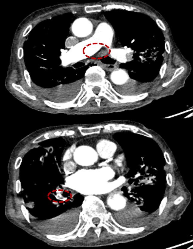 翟振国,翟振国医院