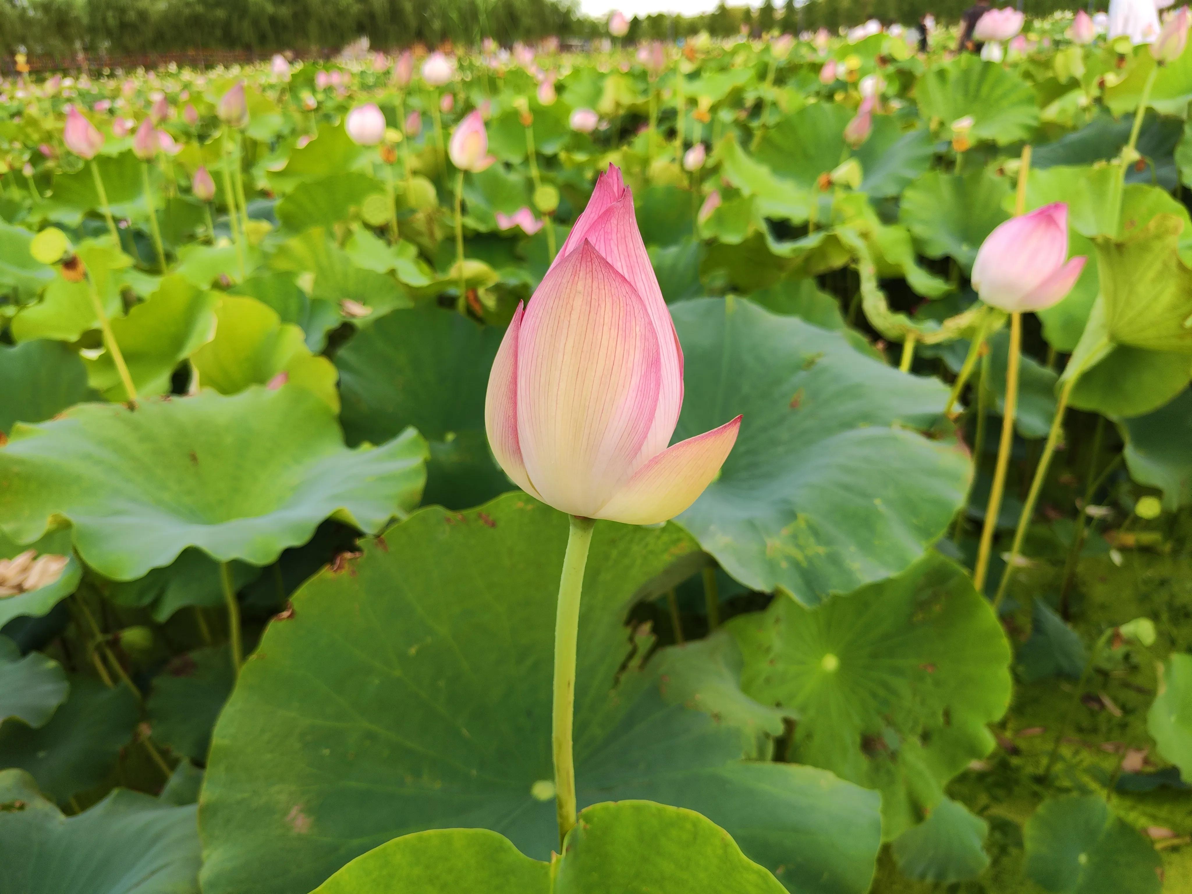 炎热的夏日突然停电了,下雨停电了没有网络怎么办