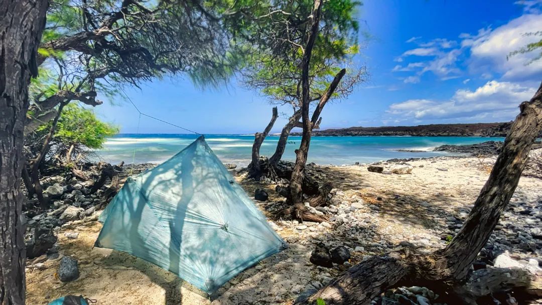 听说你想入坑塔帐？看完这篇文章就够了