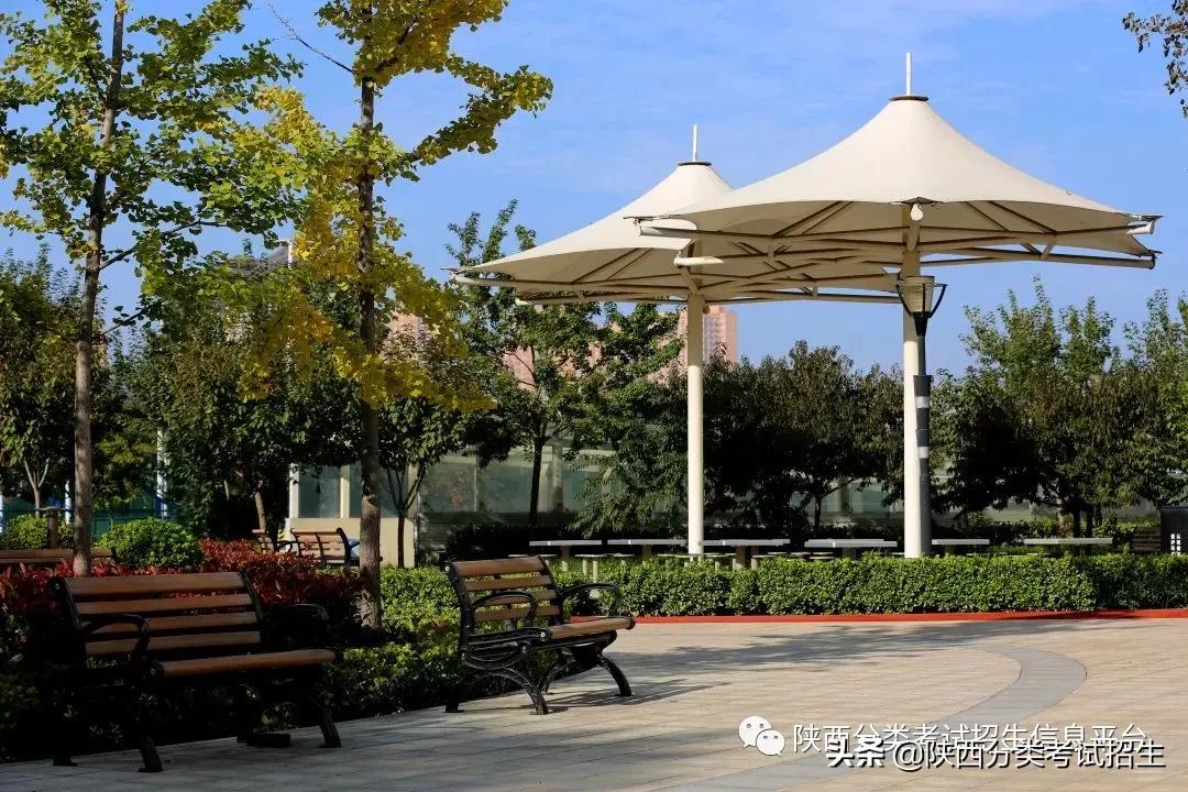 单招陕西财经职业技术学院,陕西财经职业技术学院单招条件