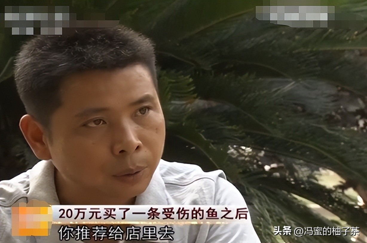 男子花13万买的鱼因停电缺氧死亡,男子花20万买一条受伤鲶鱼后续