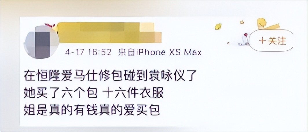 港姐袁咏仪包包,袁咏仪最贵的爱马仕包