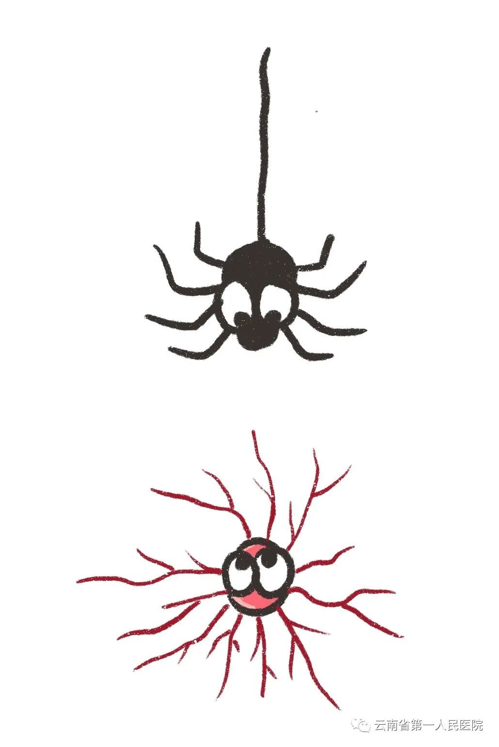 身上长红痣是跟肝有关系吗,脸上长红痣是肝的问题吗