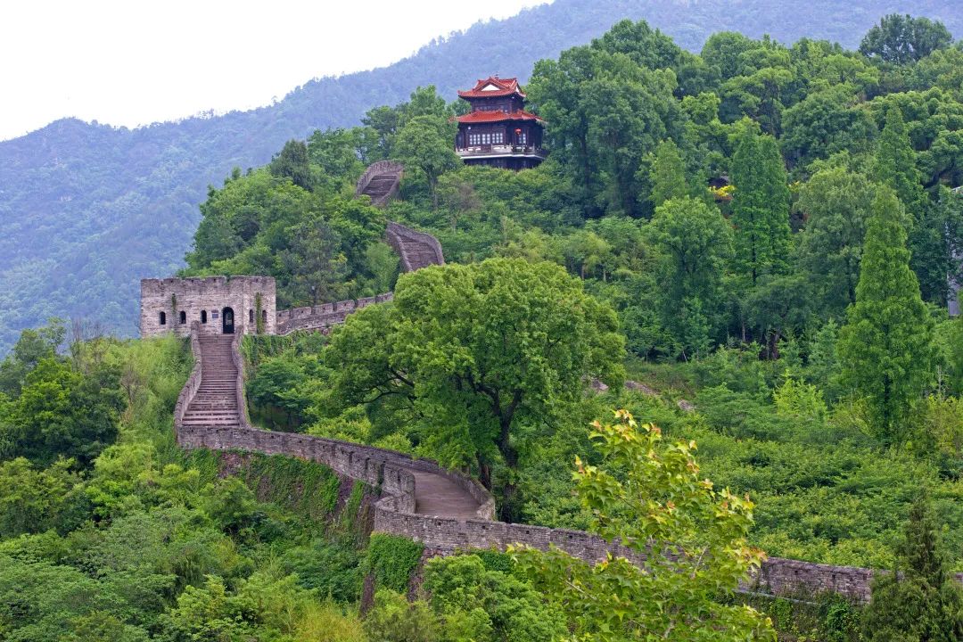 临海美食文化特色,临海美食老字号