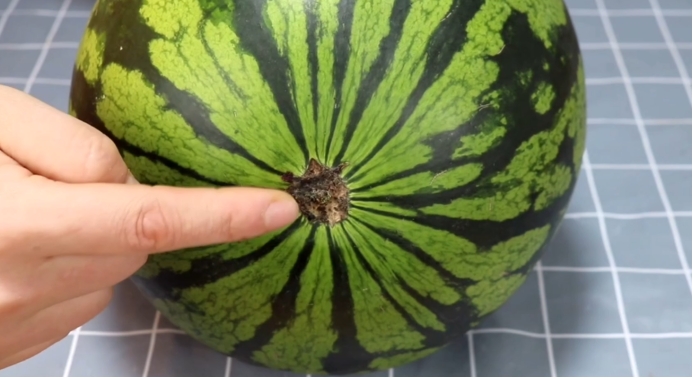 挑选西瓜瓜农,挑选西瓜的技巧和方法