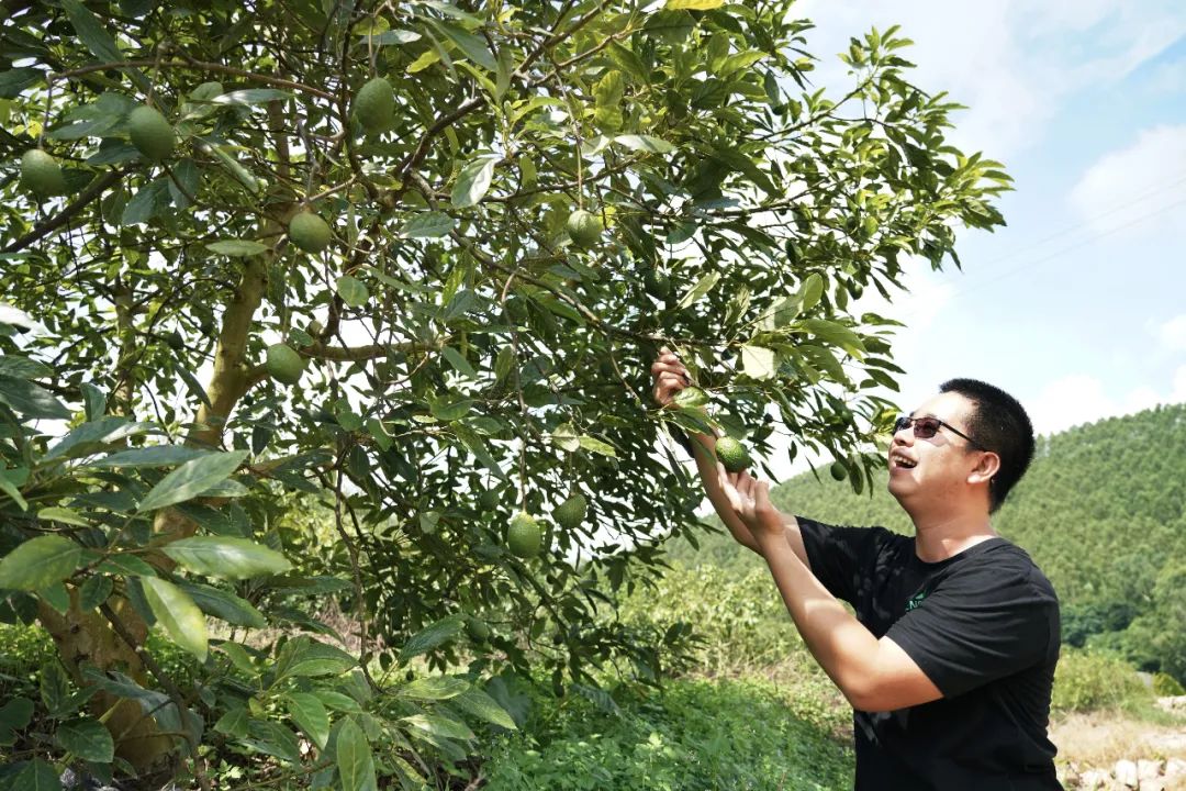 智库解析乡村振兴与三农问题,智库观察十个新走势