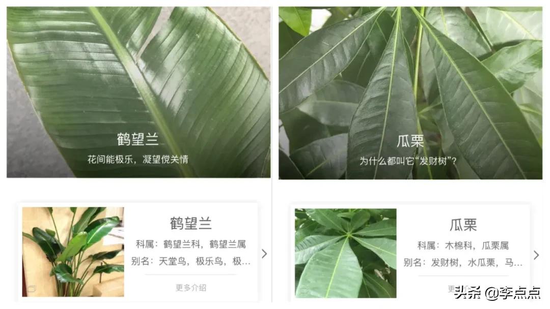 非常实用的学习小程序,超好用的几个私藏小程序