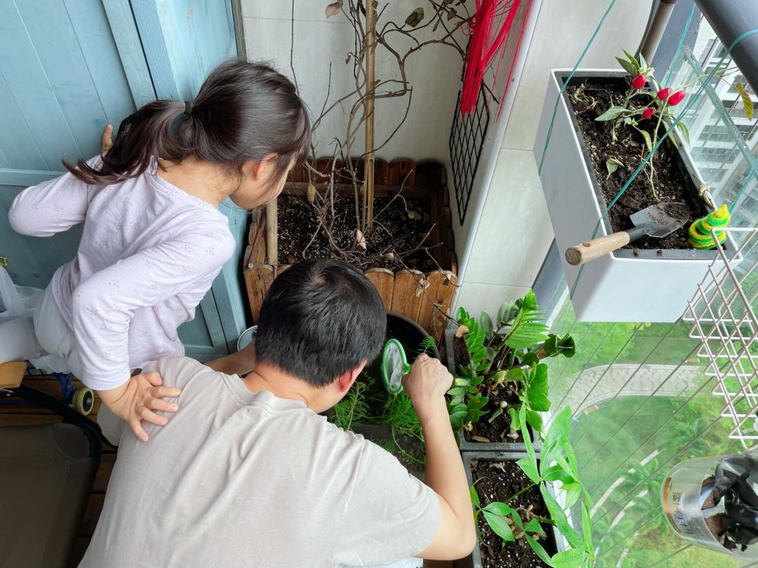 孩子经常提问我该怎么办,孩子问什么都不说怎么沟通