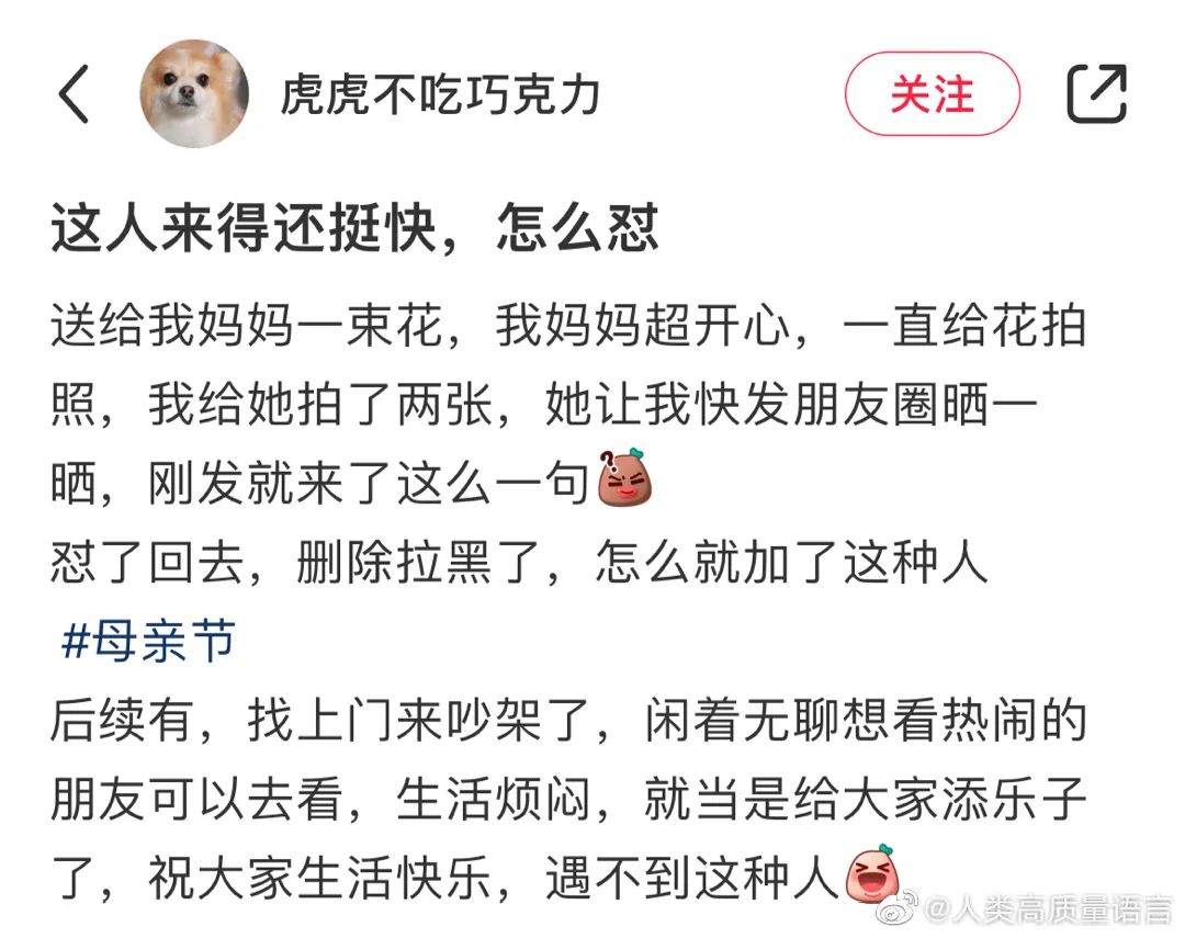 史上最爽的怼人语录,那些超爽的怼人瞬间