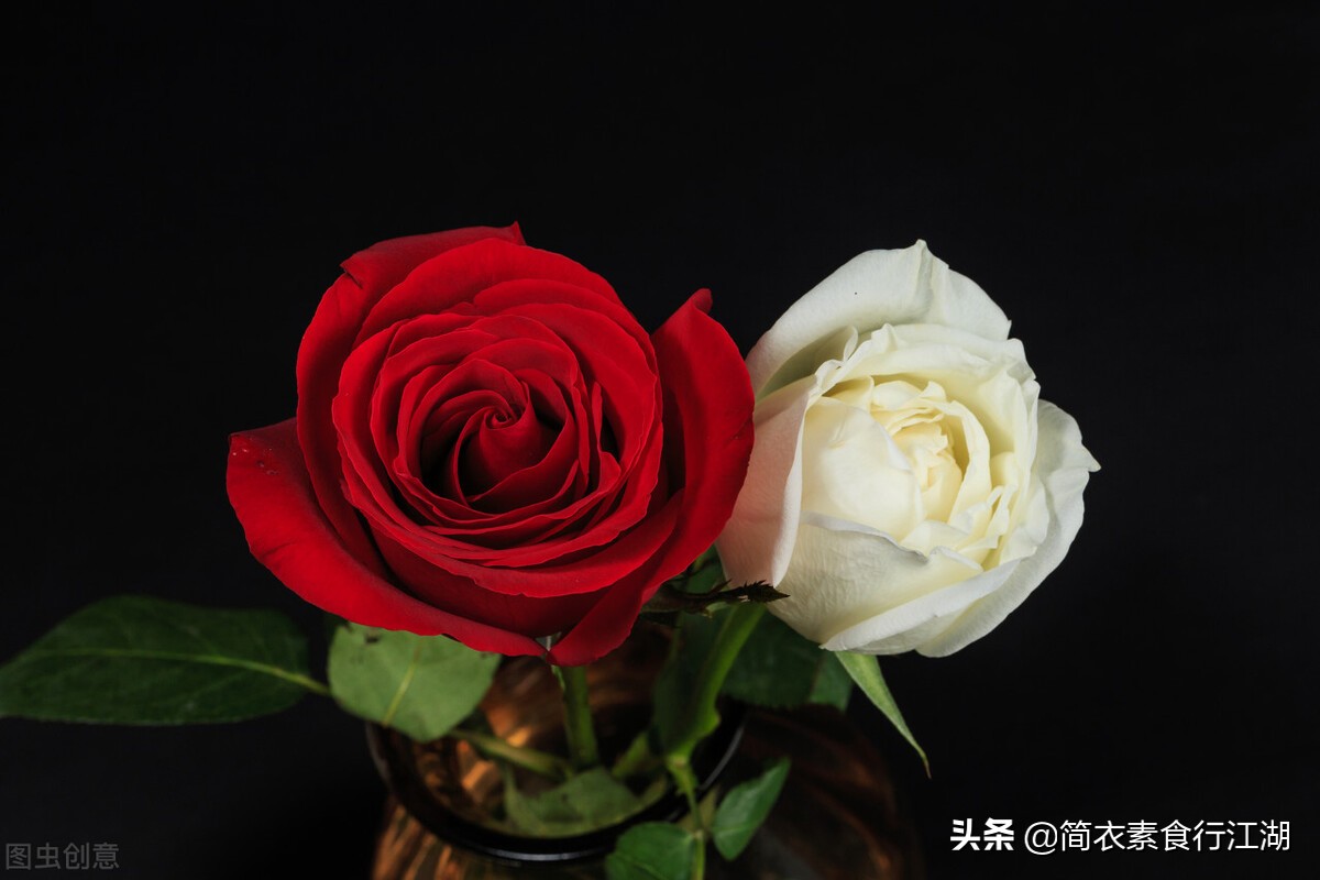 她做保姆这些年之豪门生活全集,她做保姆的这些年豪门生活之八